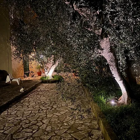 Dimore All'ofra 아파트 *